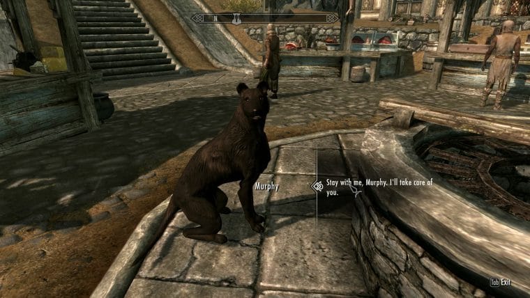 skyrim mod